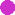 Puple