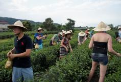 103年國際青年菁英領袖研習班