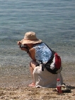 lynn's fun blog