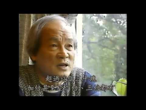 鬼斧神工話中橫第4集