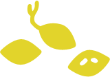 農業入門