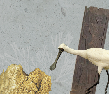 典藏選