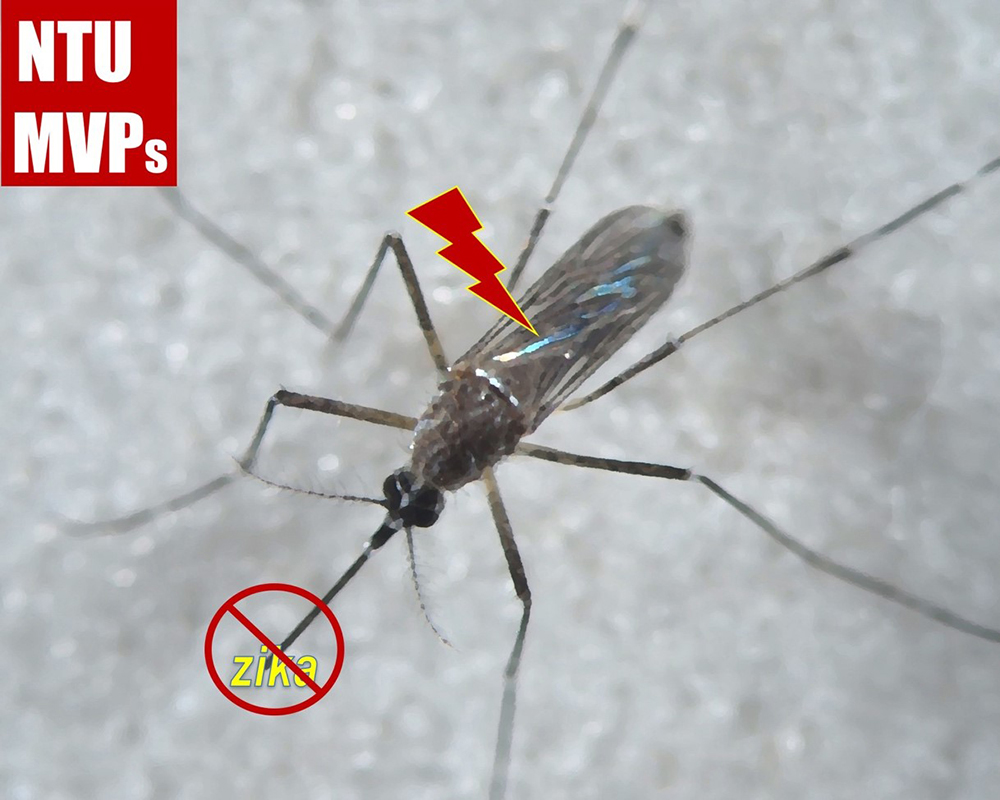 焦點新聞_909_20160913