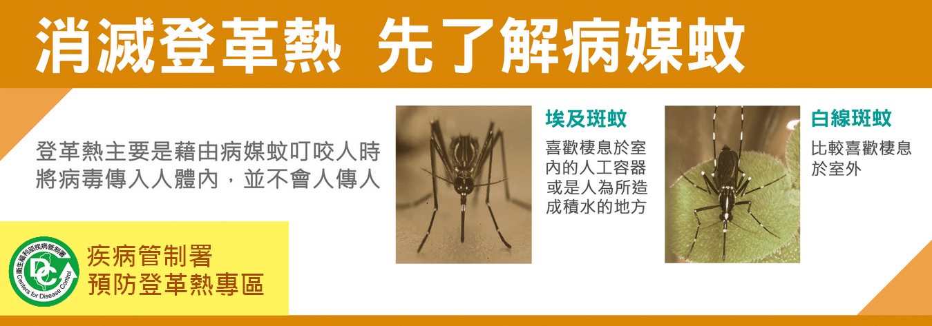 登革熱防治 登革熱防治