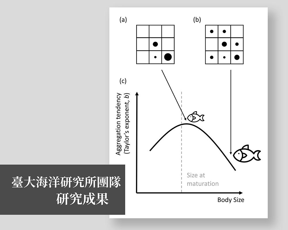 焦點新聞_1999_20211111