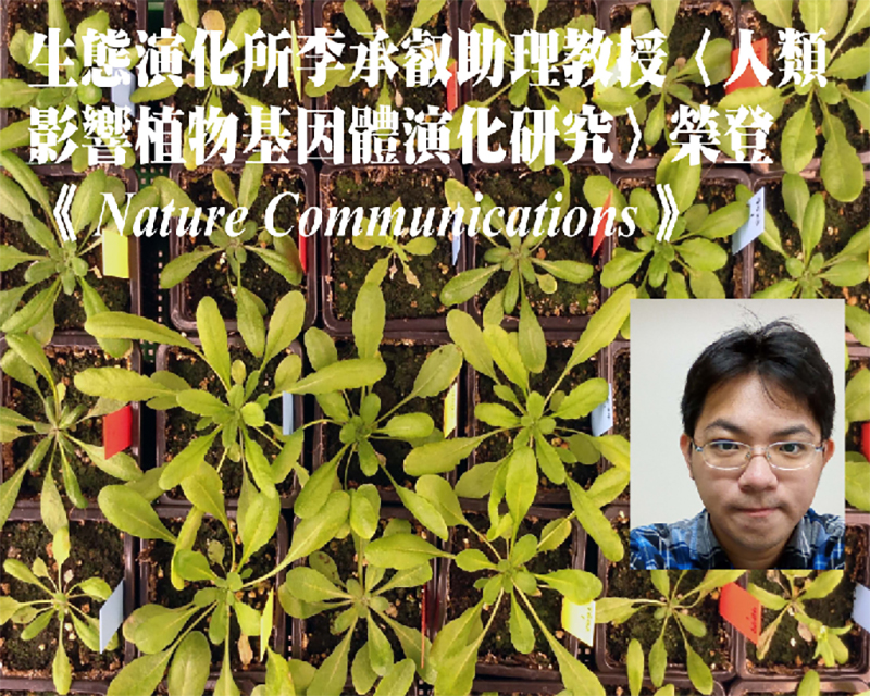 焦點新聞_1117_20170512