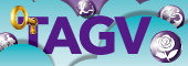                          TAGV 反性別暴力資源網                     