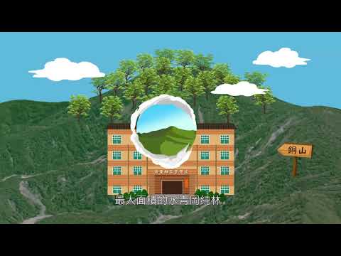 水青岡森林的寶石_夸父璀灰蝶