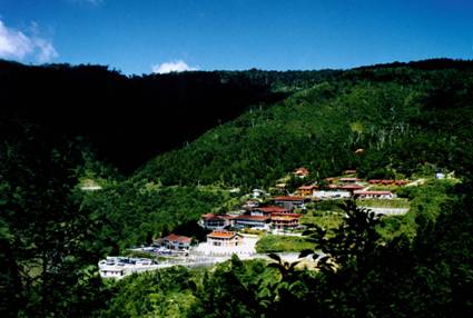 太平山國家森林遊樂區