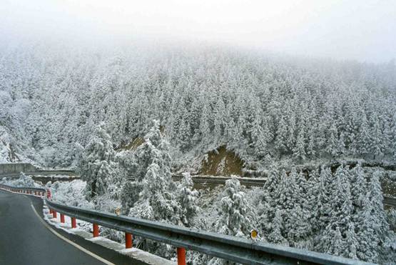 太平山國家森林遊樂區