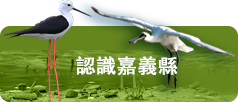 認識嘉義縣