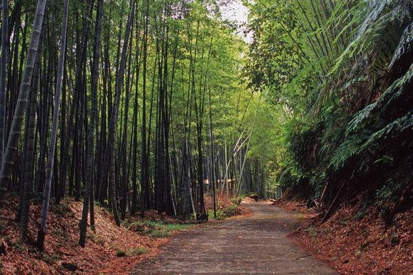 瑞里俠客生態之旅