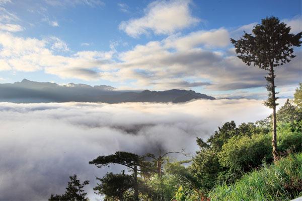 阿里山星空之旅
