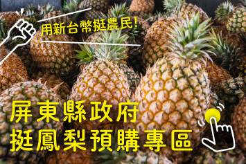 用新台幣挺農民！ 屏東縣政府挺鳳梨預購專區