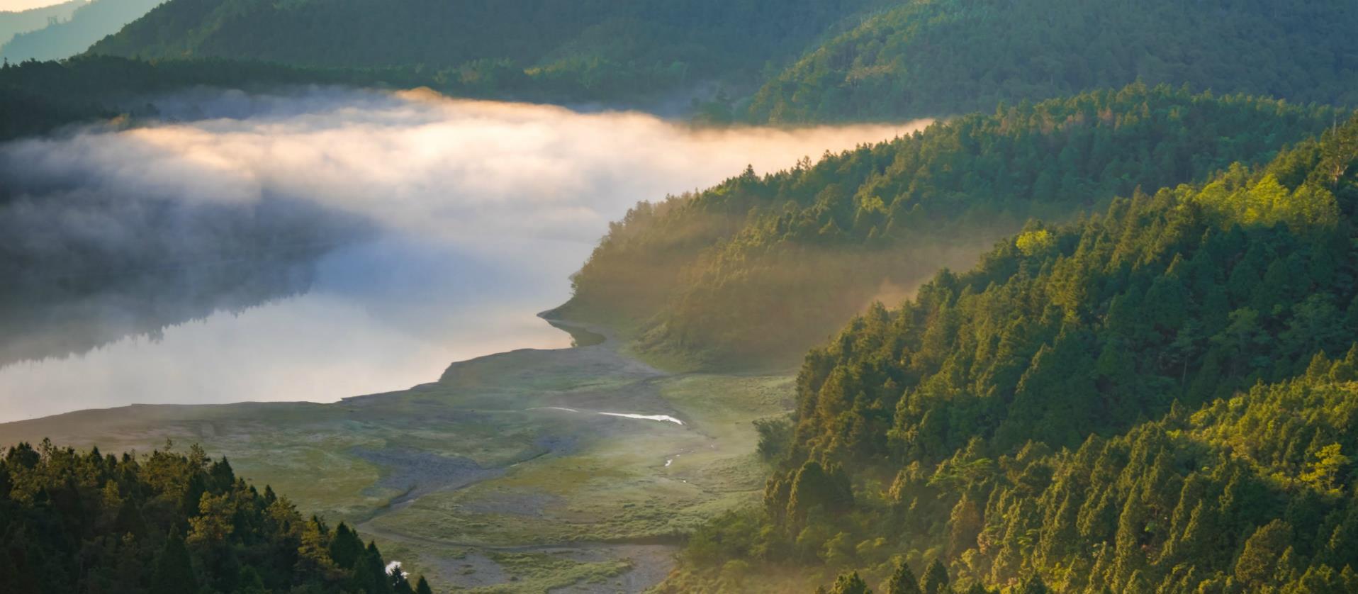 太平山翠峰湖晨景