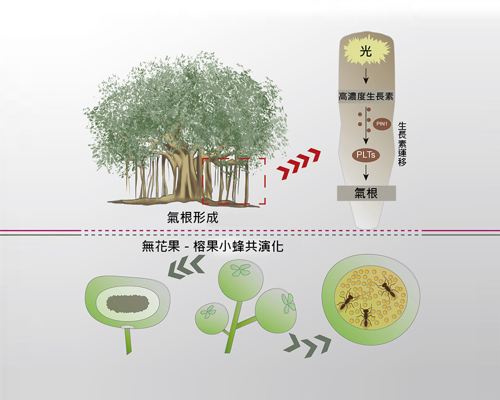 焦點新聞_1923_20210224