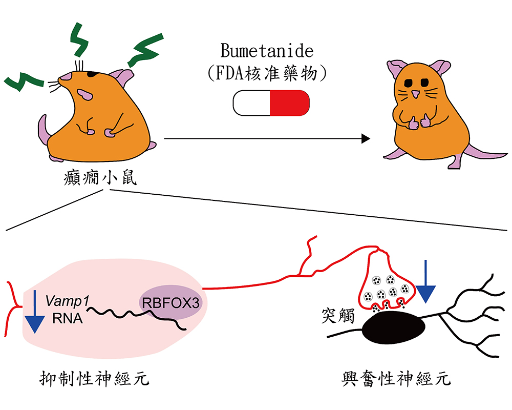 焦點新聞_2078_20220719