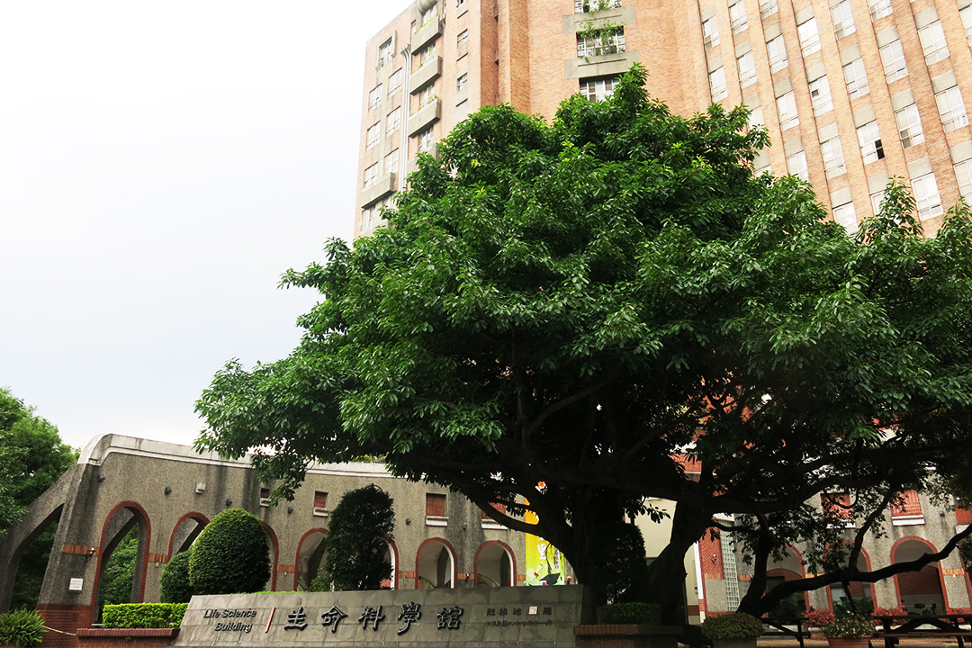 College of Life Science