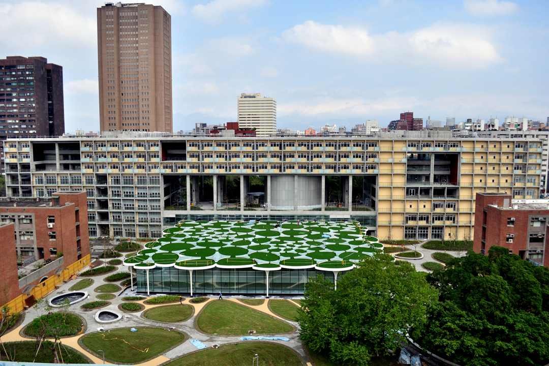 College of Social Sciences