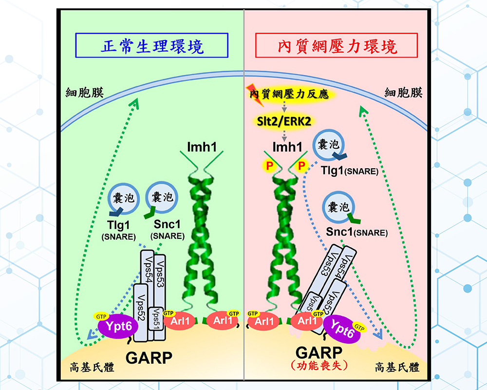焦點新聞_2048_20220406