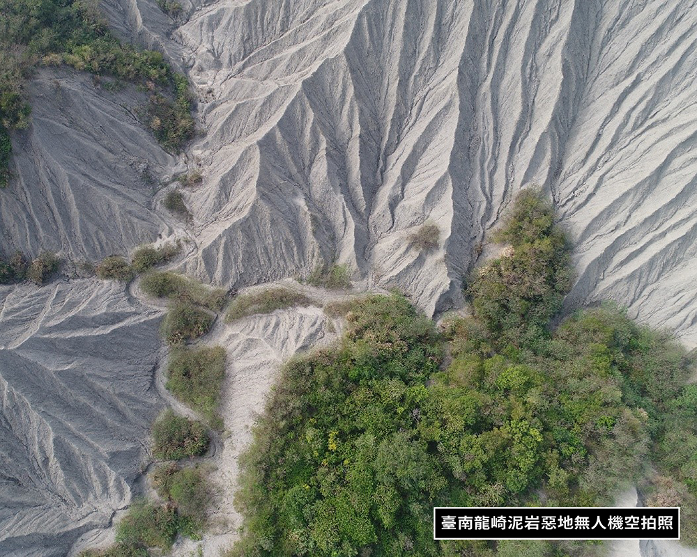 焦點新聞_2019_20211222