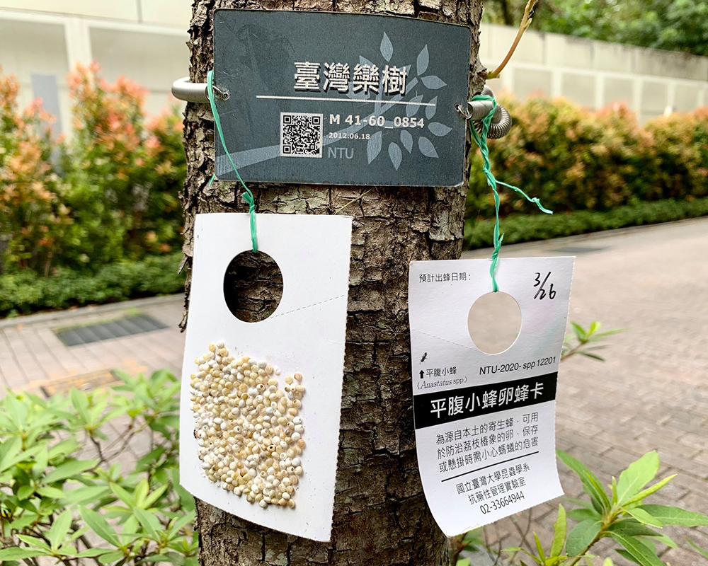 焦點新聞_1827_20200424