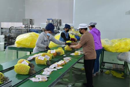 2024年3月9日行政院長陳建仁參訪屏東縣寶島南方蔬果生產合作社。