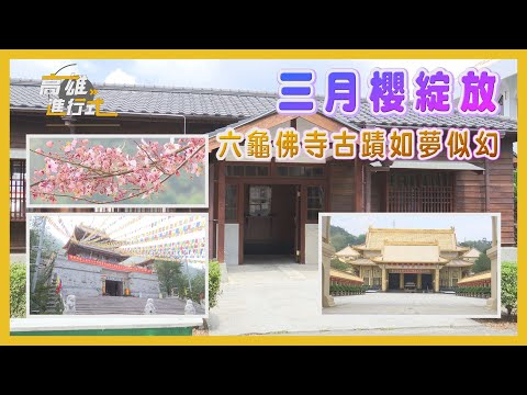 三月櫻綻放 六龜佛寺古蹟如夢似幻 ◆高雄進行式