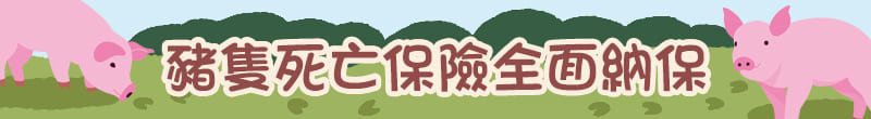 豬隻死亡保險全面納保