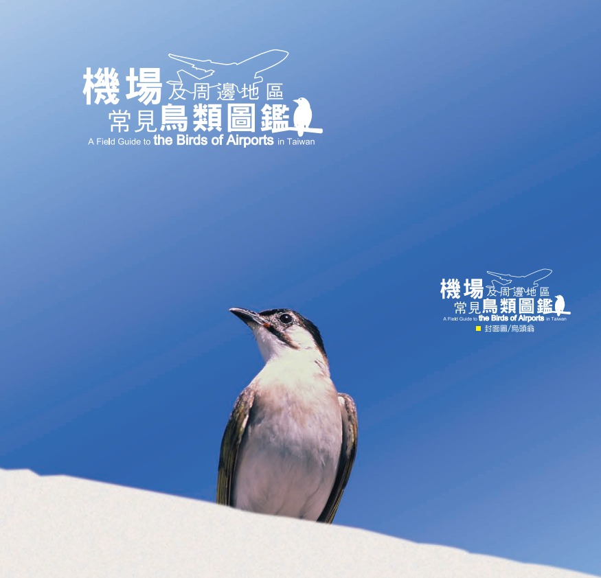 機場及周邊地區常見鳥類圖鑑