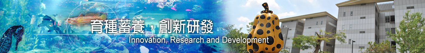 首頁輪播圖片四