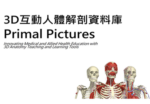 Primal Pictures 3D Real-time