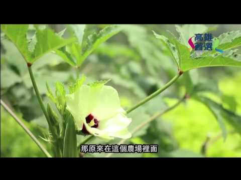 高雄萬步雞