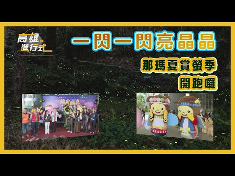 一閃一閃亮晶晶 那瑪夏賞螢季開跑囉 ◆高雄進行式