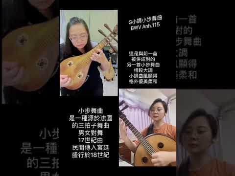 【表藝如果電話亭】臺南市民族管絃樂團—柳琴&中阮 遠距二重奏