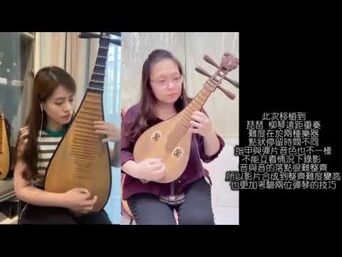 【表藝如果電話亭】臺南市民族管絃樂團—琵琶&柳琴 遠距合奏