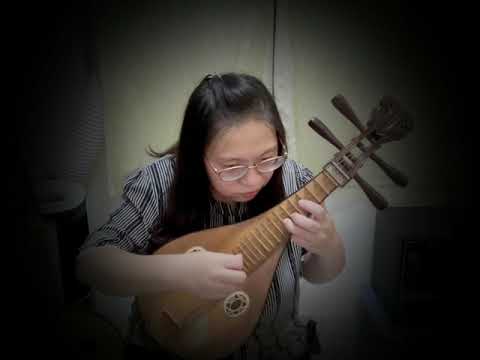 【表藝如果電話亭】臺南市民族管絃樂團—顏滋瑩老師(柳琴)