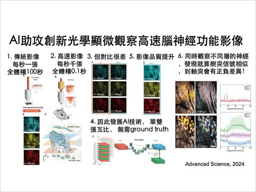 臺大與他校共組跨領域團隊 發展創新顯微鏡技術觀察高速腦神經功能性影像圖