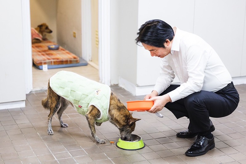 總統與「台灣攜旺浪犬教育協會」共同製作寵物年菜