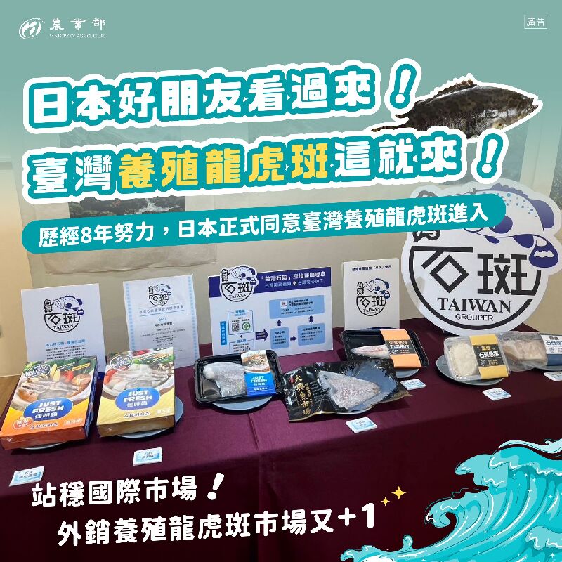 日本正式同意臺灣養殖龍虎斑輸日