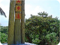 Qidu Trails