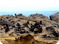 Zhongzheng Seaside