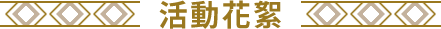 活動成果