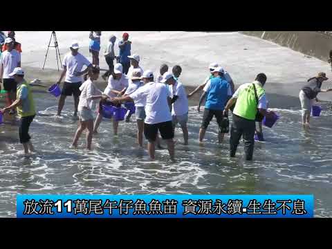 1140807 海嘉活動-慢魚推廣 通霄新埔漁港魚苗放流(影音新聞)