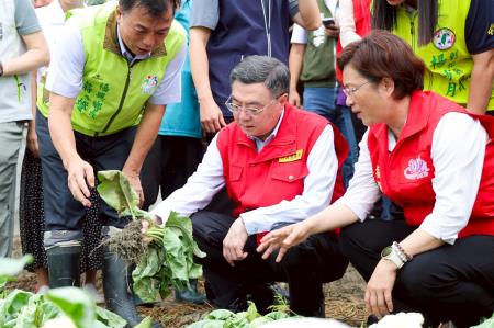 2025年7月11日行政院長卓榮泰視察彰化縣福興鄉花椰菜受損情形