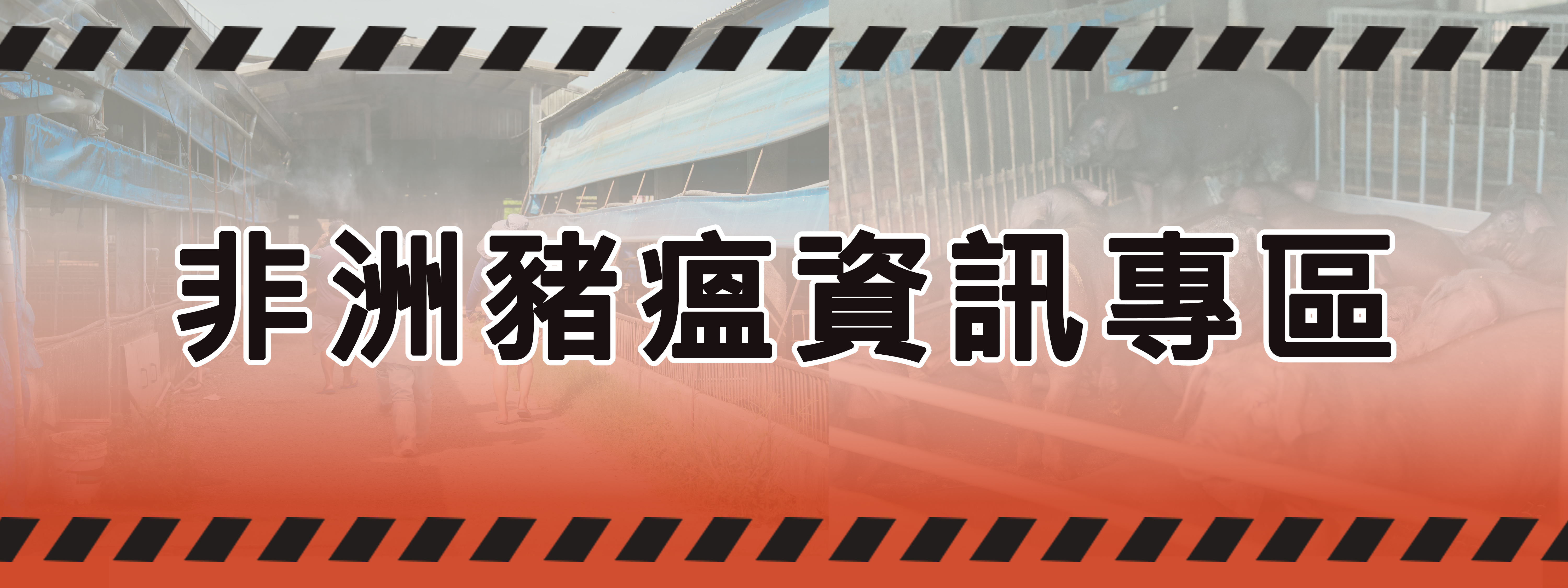 動物防疫所游昀靜