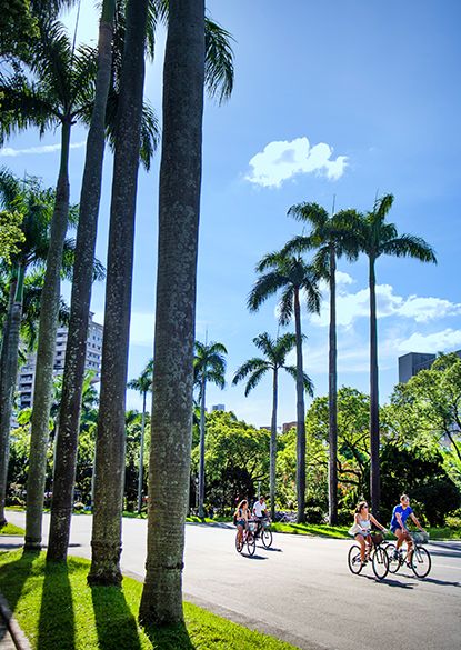 Transportation, campus maps, parking...