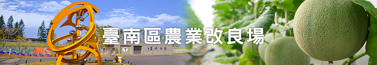 首頁banner